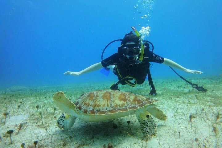 Discover Scuba Diving in St. Thomas: First-Timer Boat Dives and Snorkel Stops photo 4