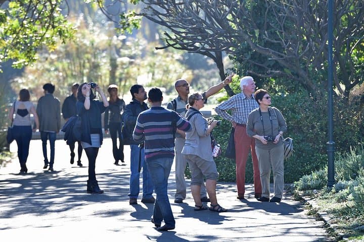 Cape Town City Walking Experience & Nelson Mandela Legacy Tour photo 2
