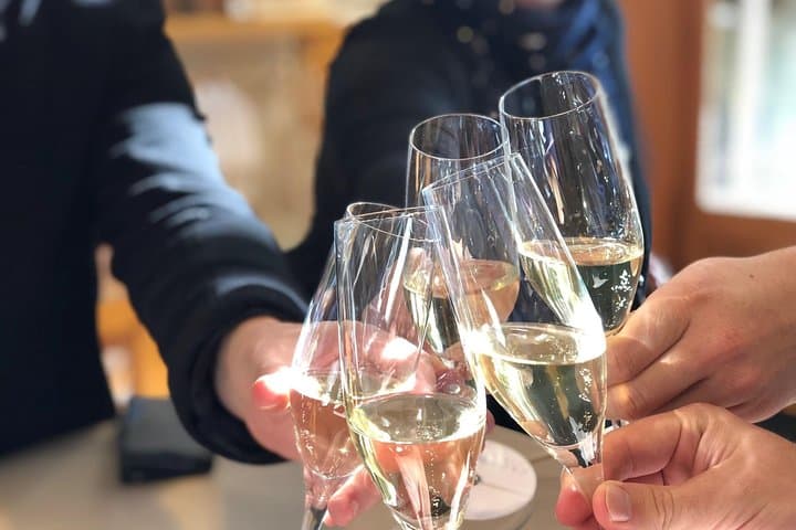 Christchurch wine trail and city tour — boutique wineries, Port Hills & gourmet lunch photo 2
