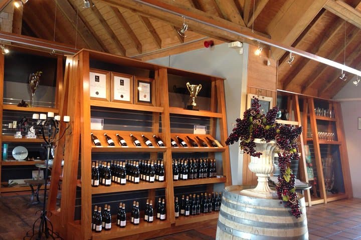 Christchurch wine trail and city tour — boutique wineries, Port Hills & gourmet lunch photo 3