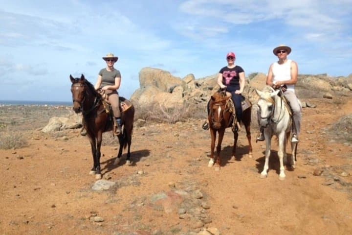 Advanced 2-Hour Private Horseback Ride in Aruba — Beach Gallops & Cunucu Trails
