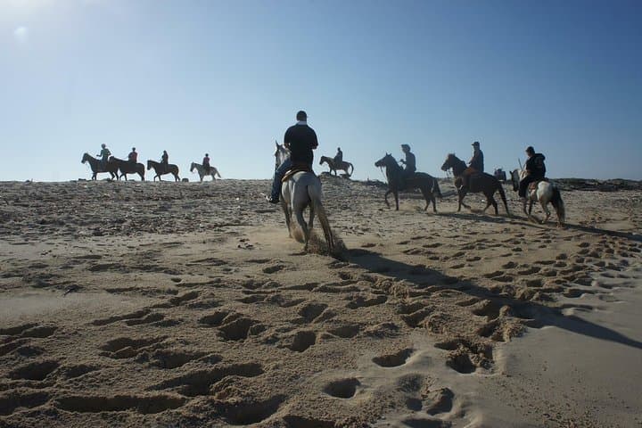 Advanced 2-Hour Private Horseback Ride in Aruba — Beach Gallops & Cunucu Trails photo 2