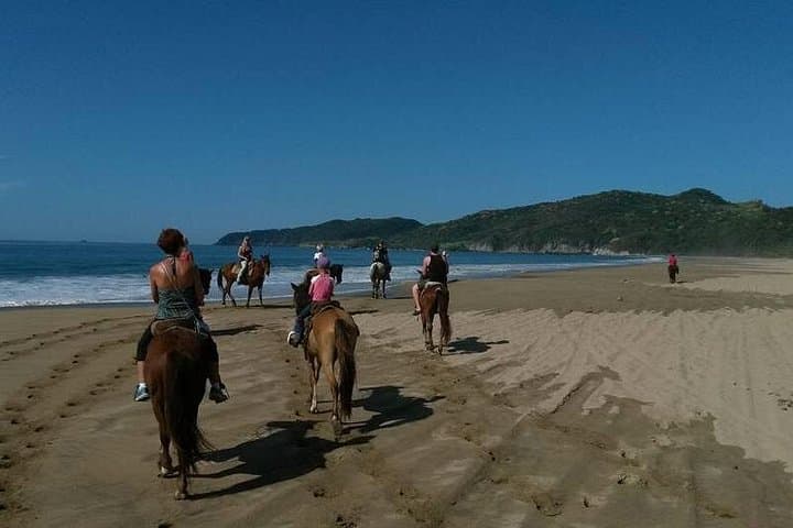 Horseback Riding on Playa Larga: Beach & Coconut Plantation Tour in Ixtapa-Zihuatanejo photo 1