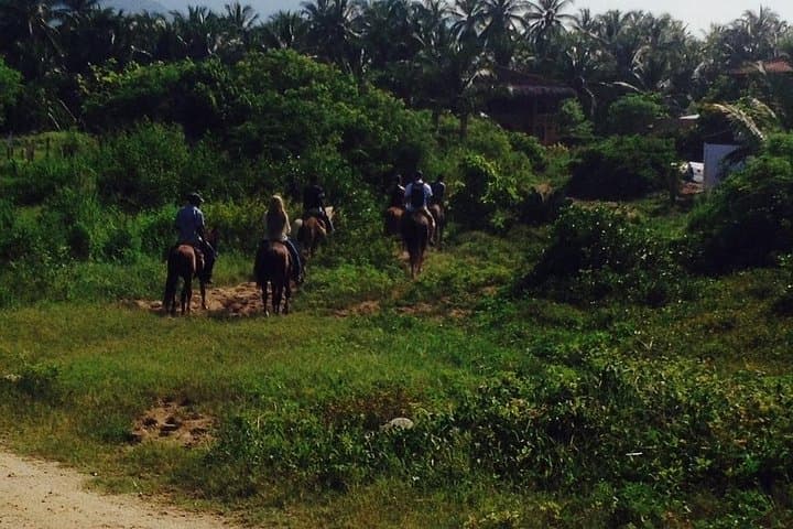 Horseback Riding on Playa Larga: Beach & Coconut Plantation Tour in Ixtapa-Zihuatanejo photo 2