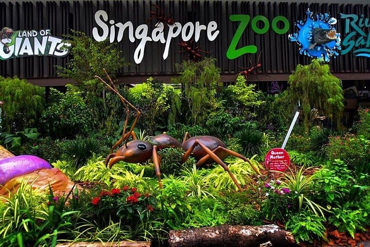 Singapore Zoo & River Wonders Day Ticket and Transfer — Complete Visitor Guide photo 3