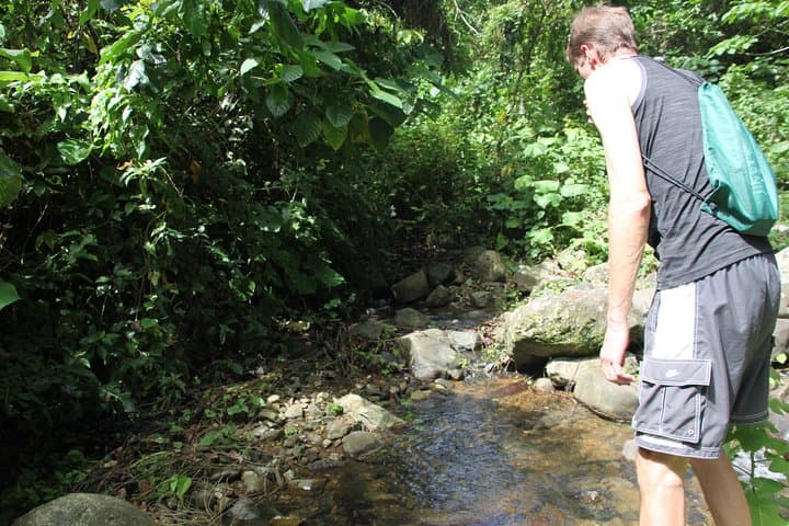 Vista Alegre to Anamuya: Eastern Cordillera Day Hike from Punta Cana photo 3