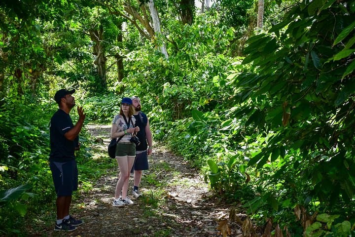 Vista Alegre to Anamuya: Eastern Cordillera Day Hike from Punta Cana photo 4