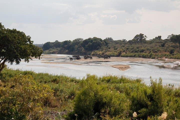 Day Safari from Maputo to Kruger National Park: Big Five Drive photo 6