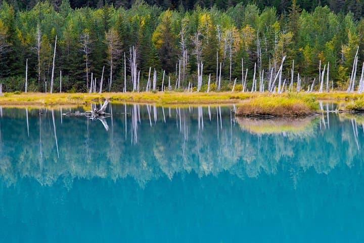 Glaciers, Wildlife, and the Seward Highway: A One-Day Alaska Discovery from Anchorage photo 2