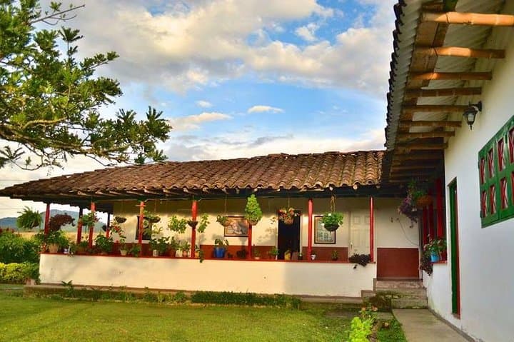 Coffee and Thermal Springs Tour in Santa Rosa de Cabal — Finca del Café Experience & Termales