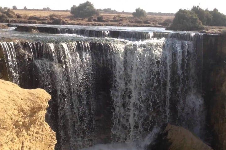 Full-Day Desert Adventure from Cairo to Wadi Hitan (Valley of the Whales) & Wadi Rayan
