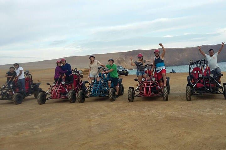 Paracas Buggy Adventure: Off-Road Coastline Ride Through Paracas National Reserve photo 3