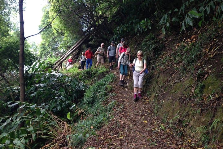 Sanguinho Forest Walk: Salto do Prego Waterfall & Abandoned Village on São Miguel photo 1