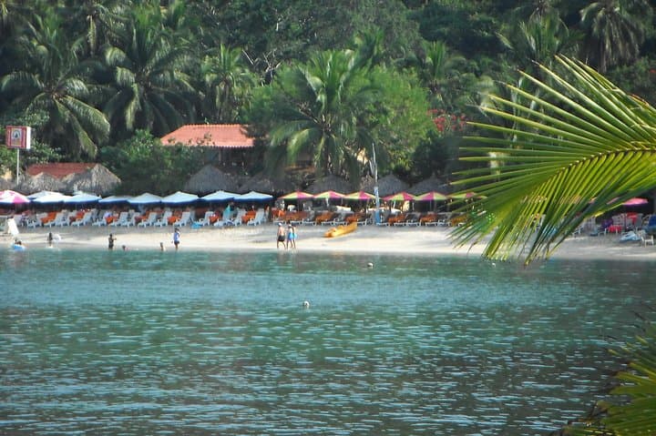 Snorkel Las Gatas Bay: Guided Snorkel to the Underwater Jesus Statue in Zihuatanejo