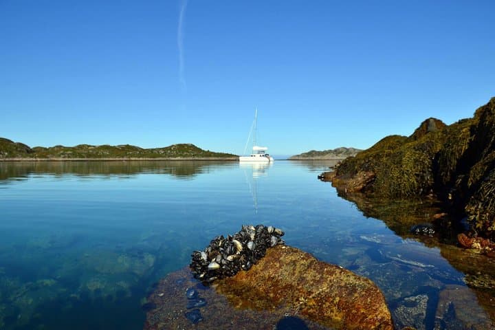 Two-Day Sailing to Risøy from Tromsø: Arctic Island Cruise & Overnight