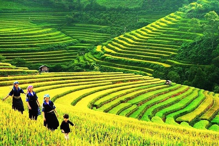 Sapa 2-Day Trek: Muong Hoa Valley, Cat Cat & Ta Van Village Trekking photo 1