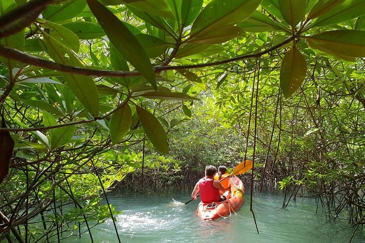4-Waters Eco-Adventure from Phuket: Kayak Mangroves, Waterfall Trek & Hot Springs photo 4