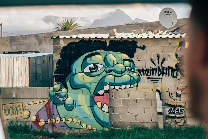 Langa Street Art & Township Experience — Cape Town Cultural Walking Tour photo 6