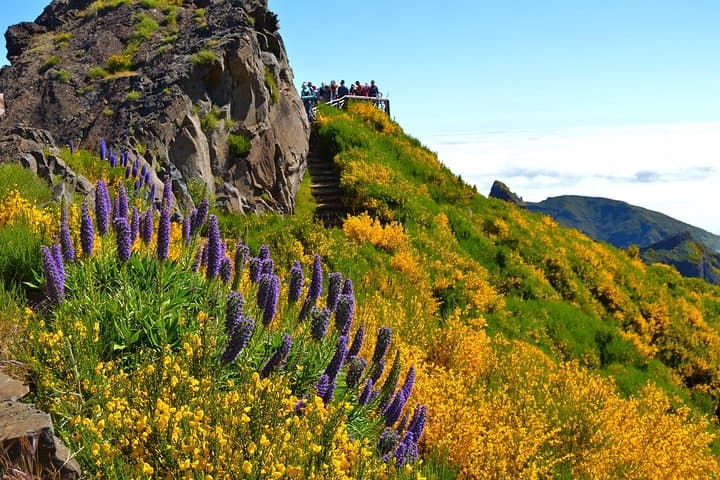 Madeira Peaks: Pico Ruivo Full-Day Mountain Walk photo 6