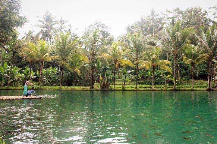 Ubud Village Balinese Cooking Class and Cycling Tour — Full-Day Cultural Experience photo 2