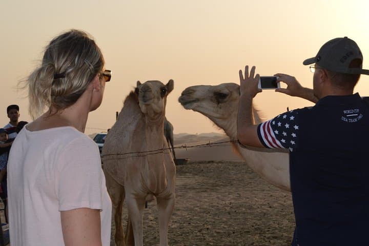 Dubai in a Day: Private Dune-Buggy Desert Safari and City Highlights photo 5