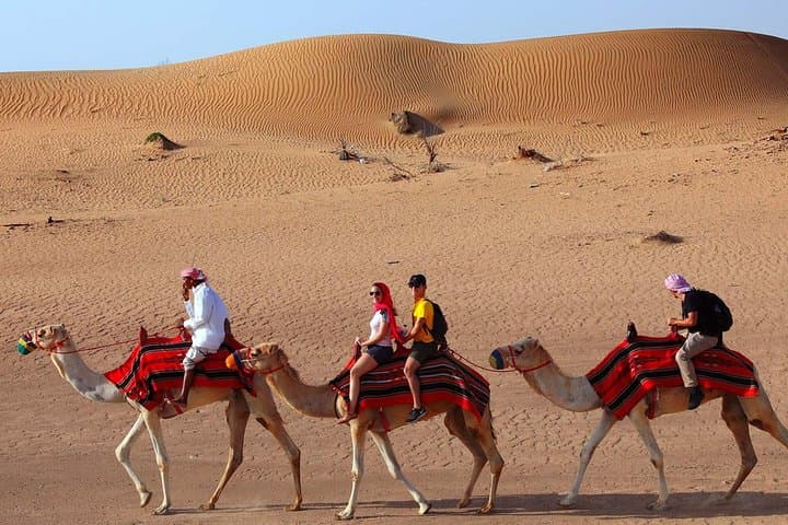Sunset Camel Trek & Bedouin Dinner in the Dubai Desert photo 4