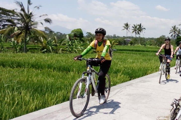 Kintamani Downhill Cycling: Bali Mountains & Villages Tour