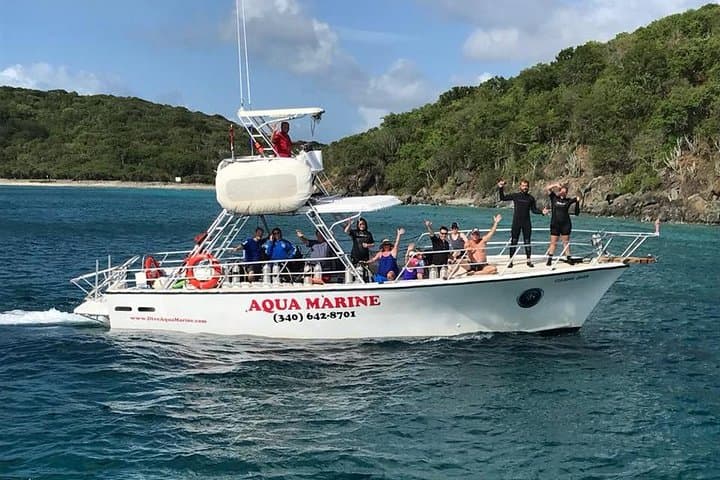 Two-Tank Certified Dives in St. Thomas: Reefs, Wrecks & Small-Group Boat Trips photo 2