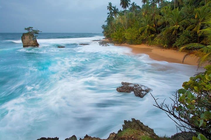 Bribri Chocolate & Cahuita National Park: Day Trip from San José photo 3