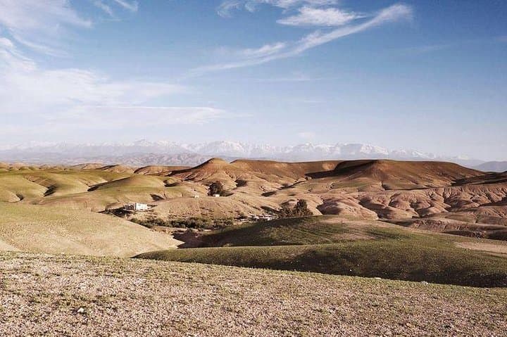 Sunset Camel Ride in Agafay Desert: Half-Day Trip from Marrakech photo 4