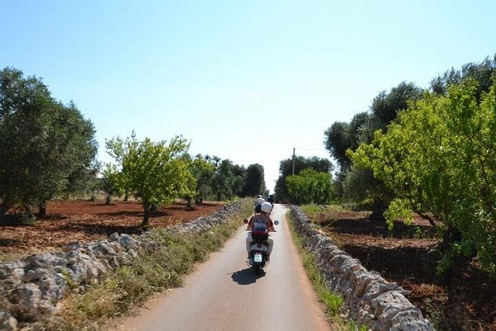Valle d'Itria Vespa Tour: Ride Trulli-Lined Backroads from Locorotondo to Ostuni photo 1