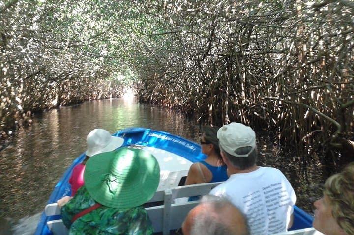 San Blas Day Trip from Puerto Vallarta: La Tovara Mangroves & Historic Port photo 4