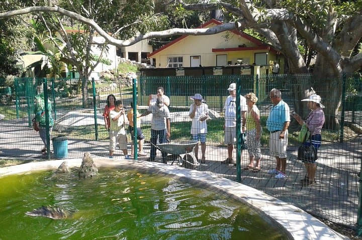 San Blas Day Trip from Puerto Vallarta: La Tovara Mangroves & Historic Port photo 5