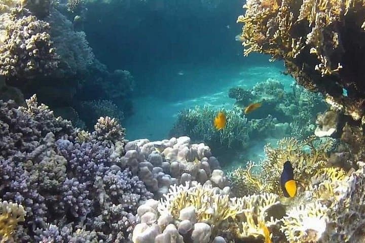 Full-Day Snorkeling to Utopia Island from Luxor — Red Sea Glass-Bottom Cruise photo 1