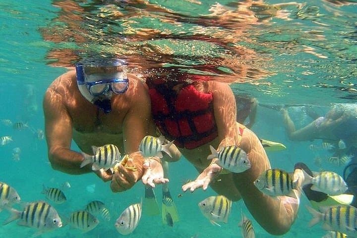Full-Day Snorkeling to Utopia Island from Luxor — Red Sea Glass-Bottom Cruise photo 2