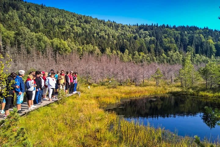 Land of Volcanoes Day Trip: Saint Anna Lake, Puturosu Cave & Bear Watching from Brașov photo 3