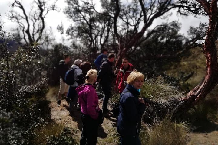 Cajas National Park Day Hike from Cuenca: High-Andean Lakes, Polylepis Forests & Paramo Trails photo 6