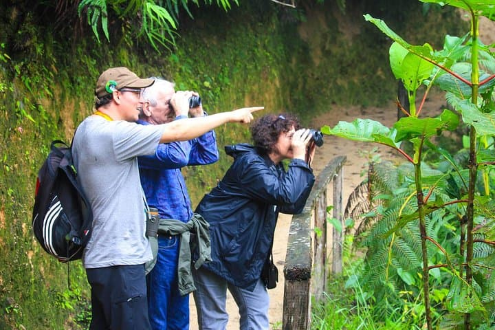 Birdwatching from Cuenca to Gualaceo: Tinajillas Cloud Forest Day Tour
