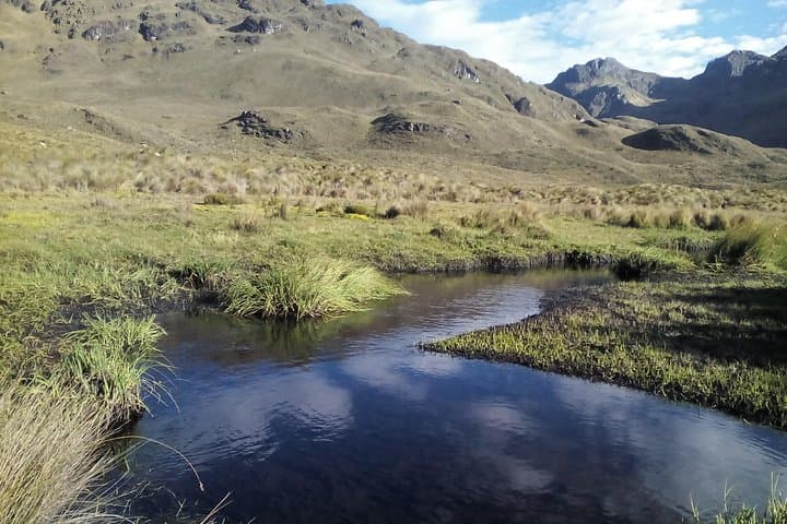 Backcountry Camping in Cajas National Park: 2-Day Trek From Cuenca photo 3