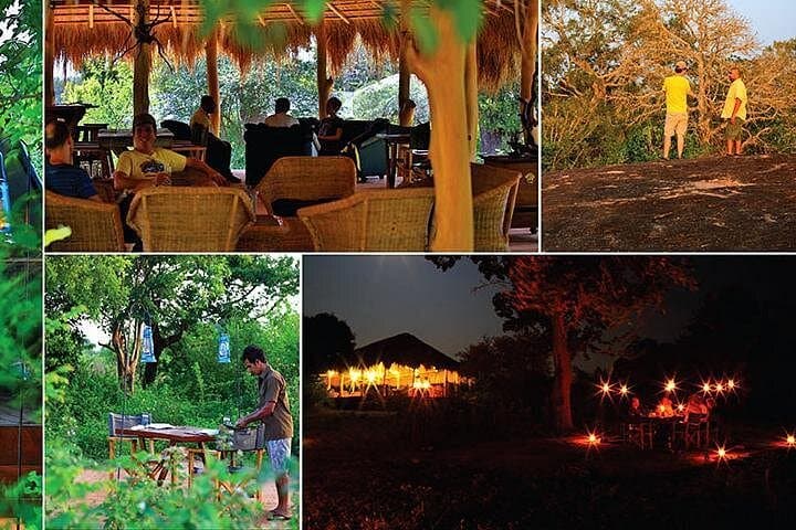 Overnight Yala Safari: Leopard-Spotting in Sri Lanka's Wild South photo 2