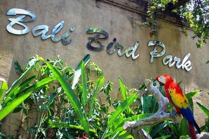 Private Tour Bali Bird Park and Ubud — Cultural Villages & Avian Encounters photo 1