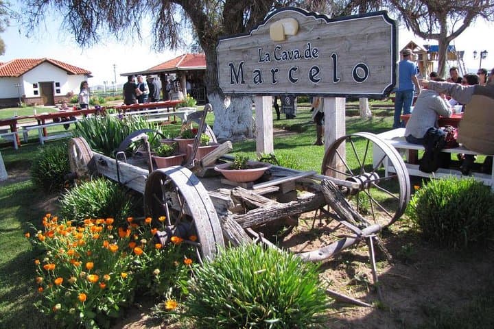 Ojos Negros Valley Wine & Cheese Route — Ensenada Day Tour