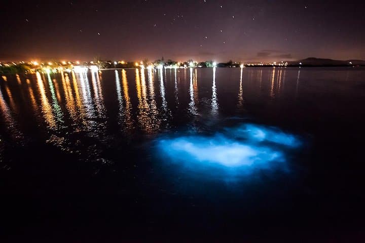 Rose Hall Great House & Luminous Lagoon Night Combo — Montego Bay Tour photo 2