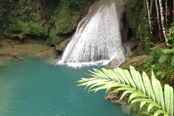 Blue Hole Day Trip from Lucea — Swim Ocho Rios' Wild Waterfalls photo 3