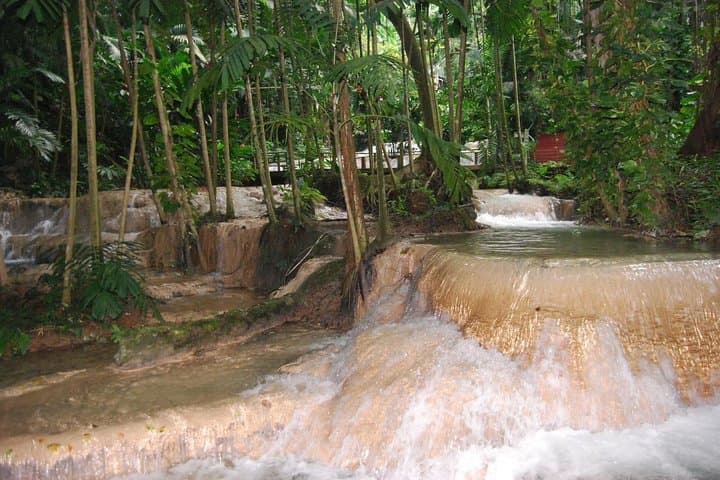 Turtle River Falls and Jack Sparroz: Ocho Rios Waterfall, Aviary & Seafood Lunch