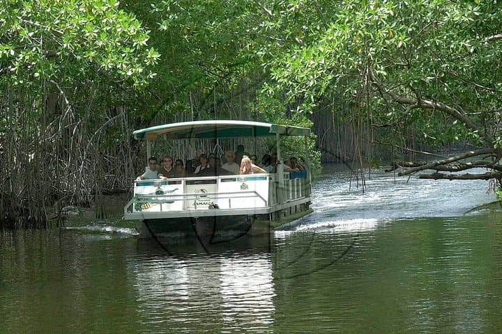 Black River Safari and YS Falls Day Tour from Montego Bay
