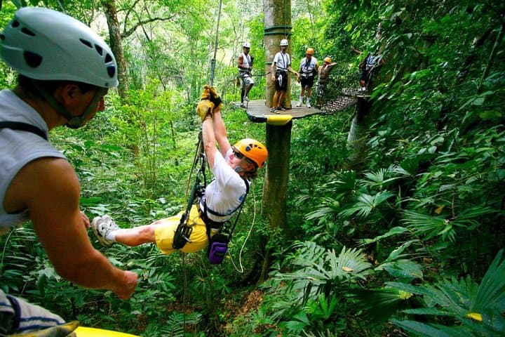 Tortuguero Canals and Rainforest Zipline Combo From Puerto Limón