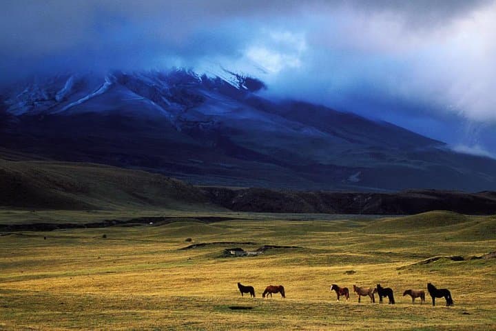 Biking Cotopaxi Volcano: Full-Day Cycling at 13,000 ft photo 2