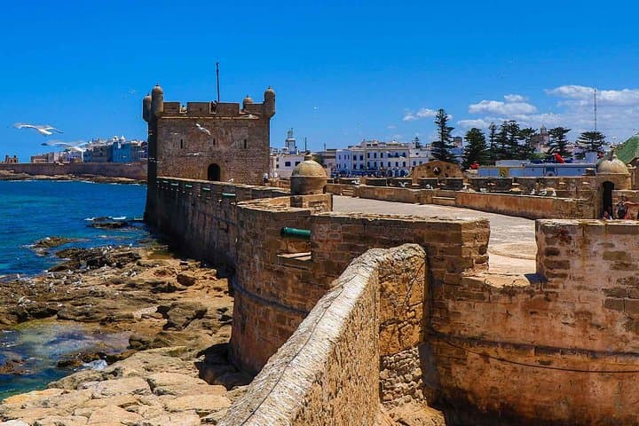 Day Trip to Essaouira from Marrakech: Argan Co-ops, Fishing Port & Atlantic Winds photo 5