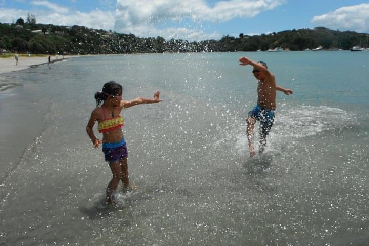 Maori Walking Tour on Waiheke Island: Wine Tasting & Coastal Walk photo 2